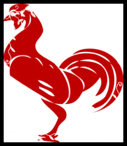 Red and black rooster